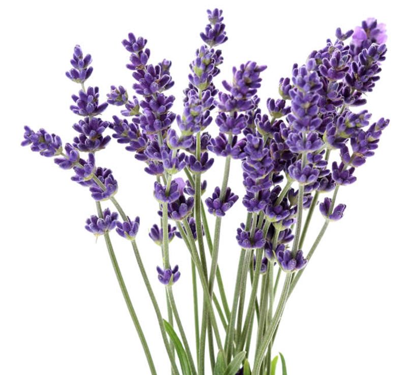 Weleda Lavendel Relaxing Body Oil 100 ml